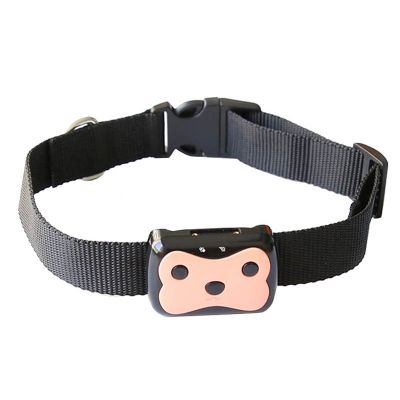 Wonlex GPS Pet Smart Tracker PT01: местоположение GPS + LBS