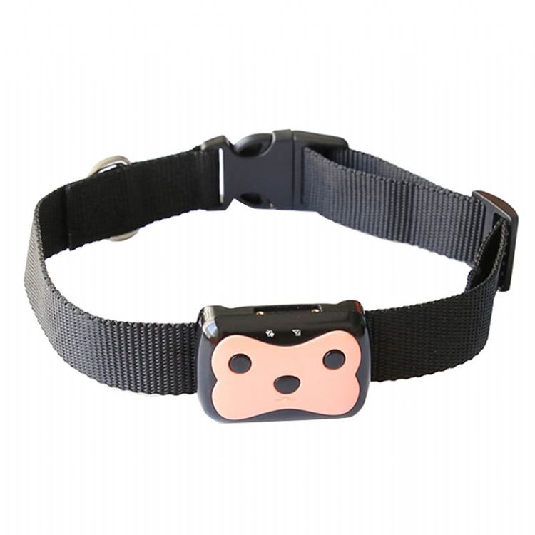 Wonlex GPS Pet Smart Tracker PT01: ubicación GPS + LBS