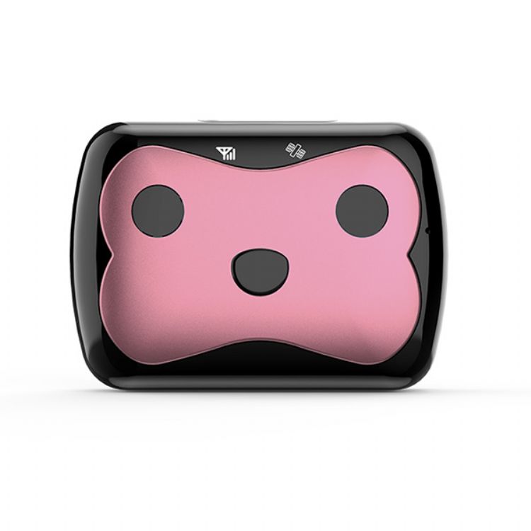 Wonlex 4G CAT1 Pet Tracker GPS PT02C con SOS